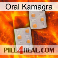 Oral Kamagra 25